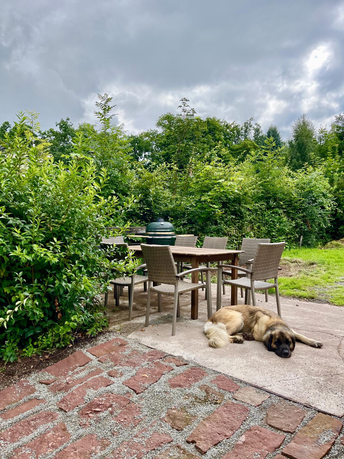 Forsthaus Galerie 09