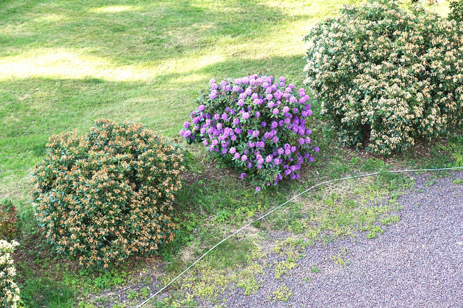 Gartenansicht Auberge Tabarz